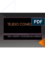 Tejido Conectivo