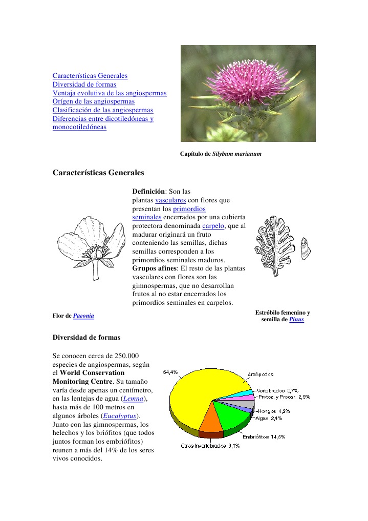 Características de las Angiospermas | PDF | Flores | Tallo de la planta