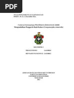 Download Paecilomyces fumosoroseus by Sri Wahyuni Manwan SN108999624 doc pdf