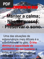 Sobrevivência - Comissário de voo