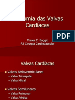 Anatomia_das_Valvas_Cardíacas