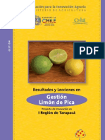 46 Libro LimondePica