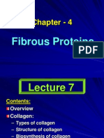 Fibrous Proteins - 3 Lecture (7-9) - PPT - Chapter 4