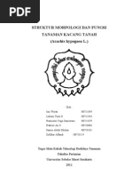 Download Struktur Morfologi Dan Fungsi Kacangggggg97 by Pramusita Yoga Daniswara SN109067060 doc pdf
