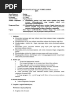 Download Rpp Biologi Sma Kelas Xi Semester II by Julianoor SN109083854 doc pdf