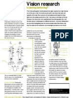 Vision Research