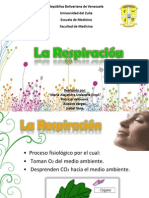 La Respiracion