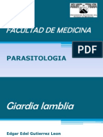 Giardia lamblia: protozoo flagelado intestinal