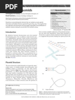 Bacterial Plasmids