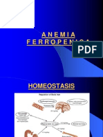 Anemia Ferropenica