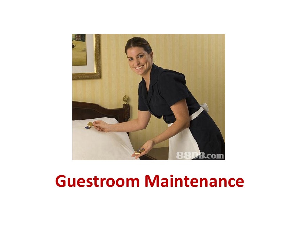 Lesson 3 Guestroom Maintenance PDF Toilet Bathroom