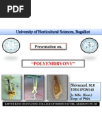Download Polyembryony PPT by- Shivanand M R by Shivanand Rangapur SN109189194 doc pdf