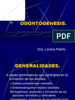 Odonto Genesis