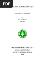 Download Penyakit tanaman by Prayuga Deka Rusyana SN109202420 doc pdf