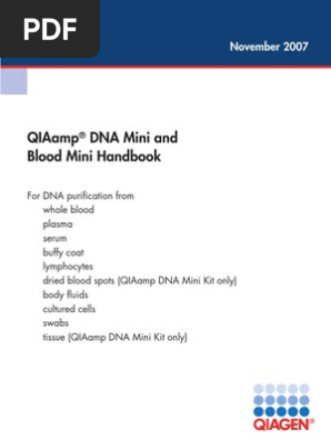 Agarose gel electrophoresis of crude DNA (F1 & G1) and universal PCR