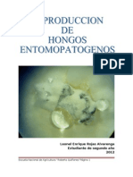Pasos de reproducción de los hongos entomopatogenos