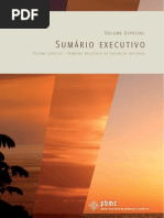 Sumario Executivo Vol1 PBMC Final