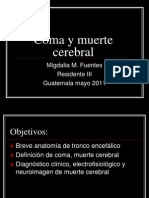 Muerte Cerebral