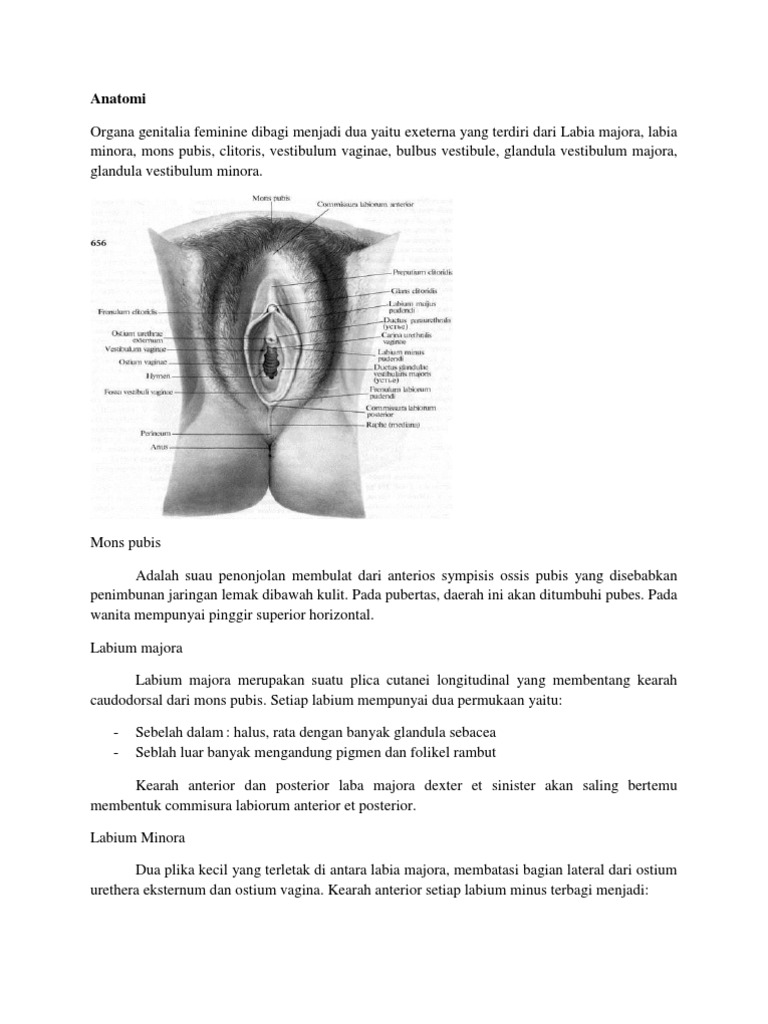 Jinsiy aloqada ortiqcha soqol
