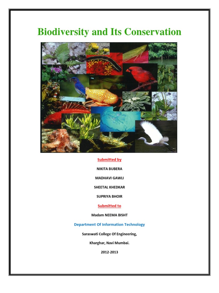 Biodiversity and Conservation Overview | PDF | Biodiversity ...