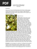 Download Psidium_guajava by Amalia Rasyid SN109262098 doc pdf