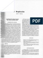 Repiratorio - Fisiopatologia Smith/Thier