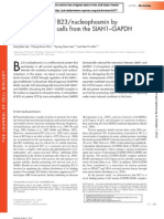 S-Nitrosylation of B23nucleophosmin by GAPDH Protects Cells From The SIAH1-GAPDH