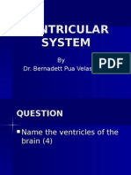 Ventricular System Lecture