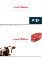 MX: Animal Welfare: Wireframes