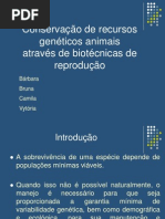 Conservação de recursos genéticos animais através de biotécnicas de reprodução