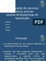 Conservação de Recursos Genéticos Animais Através de Biotécnicas de Reprodução