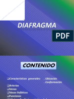 diafragma 