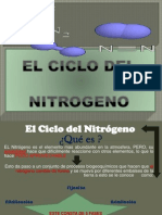 Ciclo Del Nitrogeno