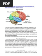 O Distúrbio de Déficit de Atenção