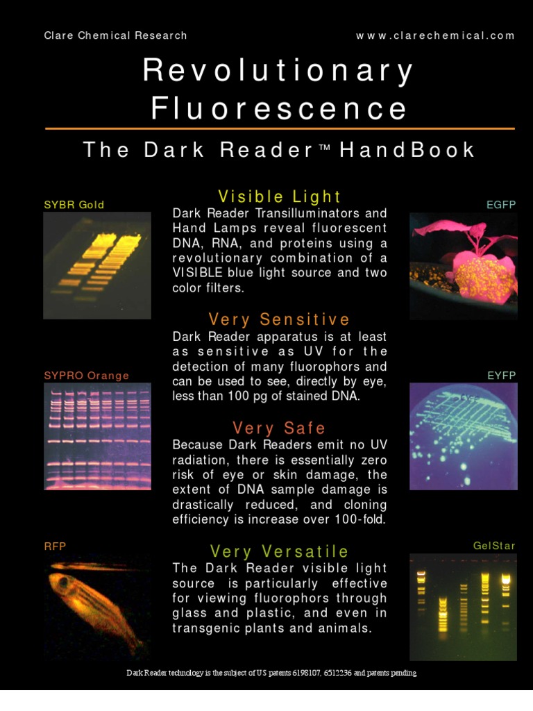 DR Handbook PDF Gel Electrophoresis Green Fluorescent Protein