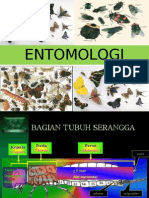 Materi Entomologi