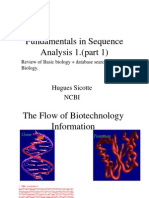 Central Dogma