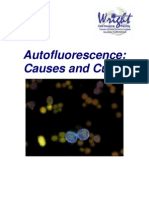 Auto Fluorescence