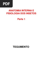 Anatomia Interna e Fisiologia Dos Insetos Parte 1