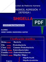 Shigella