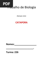 Trabalho de Biologia - doenças virais - catapora