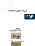 Fauna Devenezuela