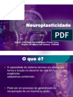Neuroplasticidade
