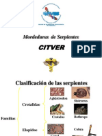 Intoxicacion Por Mordedura de Serpientes