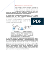 Cuestionario Extraccion Adn