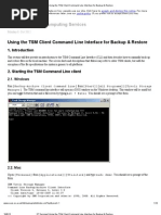 Using the TSM Client Command Line Interface for Backup &amp; Restore