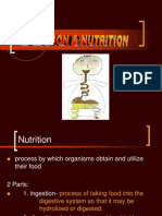 Nutrition and Digestion