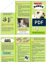 Leaflet Rabies