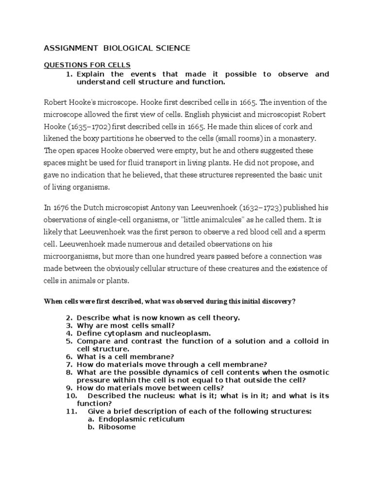 How does photosynthesis work image