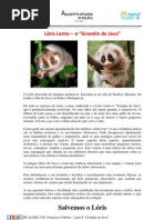 Loris Java